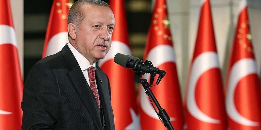 Turkey can 'protect interests of US, Syrians': Erdogan