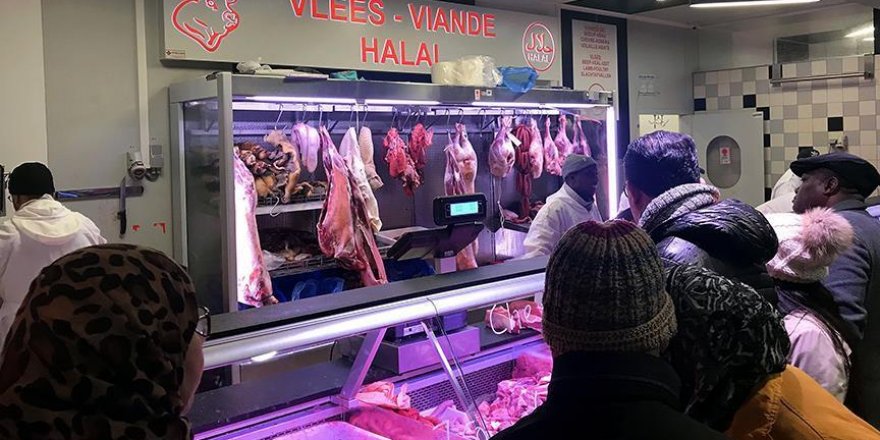 Belgium: Muslims, Jews blast new animal slaughter rules