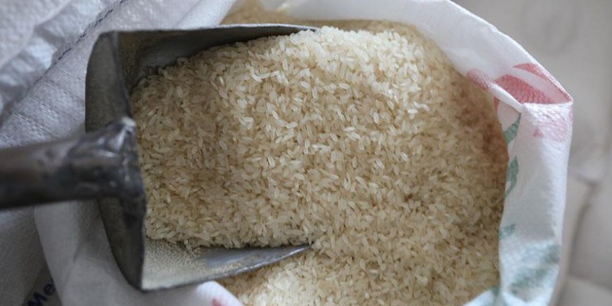 EU imposes tariffs on rice imports from Cambodia