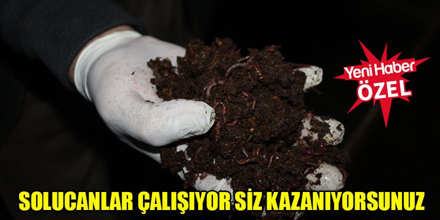 Solucanlar çalışıyor siz kazanıyorsunuz