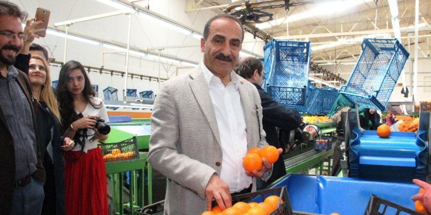 Tarım OSB’ler, Ege tarım ürünleri ihracatını 1 milyar dolar artıracak