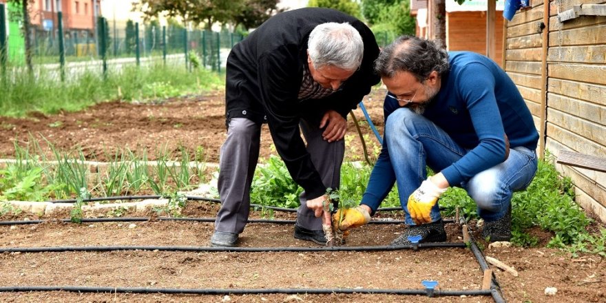 ’Gönül Bahçeleri’nde üretimin hazzını yaşıyorlar