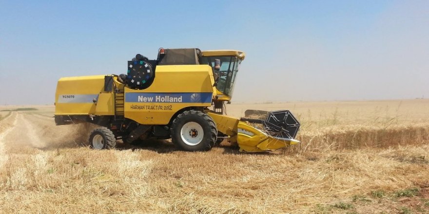 Konya'da 200 ton sertifikalı yerli mercimek tohumu çiftçilere dağıtıldı