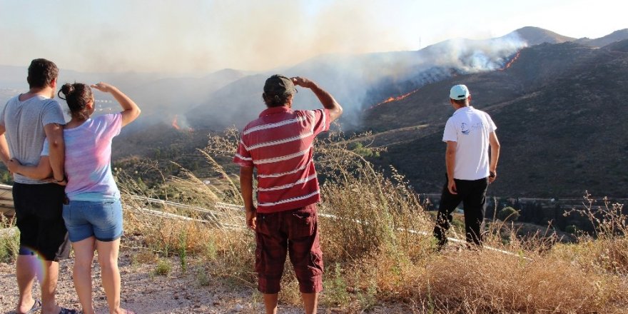 Bodrum’da korkutan yangın