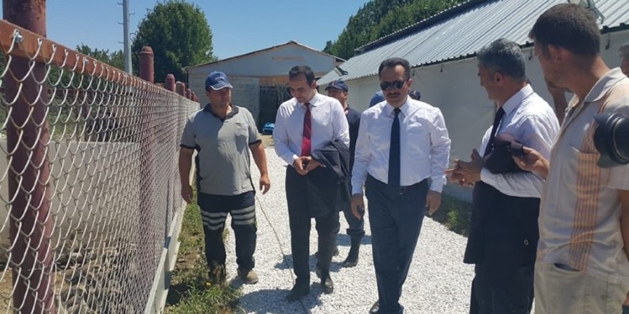 Vali Şentürk ipek böceği çiftliğini gezdi