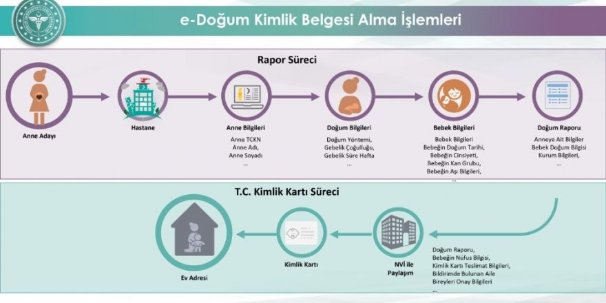 Doğum bildirim sistemi ile kimlik belgesi işlemleri 4 pilot ilde başladı