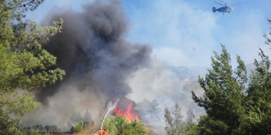 Silifke’de çıkan yangında 4 hektar alan zarar gördü