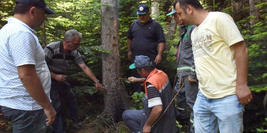 Dumansız yangınla biyoteknik mücadele
