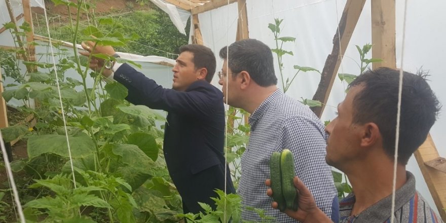 Kaymakam, örnek çiftçiyi tebrik etti