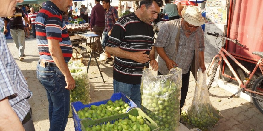 Aydın’da ilek fiyatları fırladı