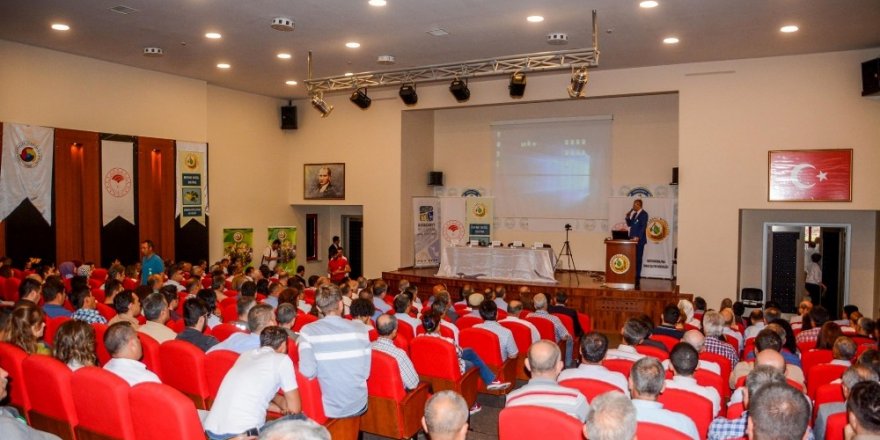 Defne serüveni başlıyor
