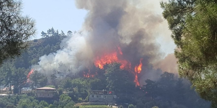Manavgat’ta orman yangını (1)