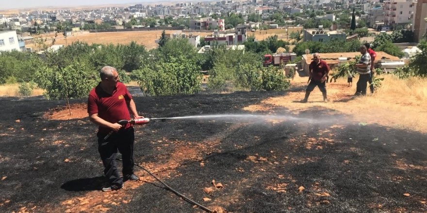Adıyaman’da orman yangını