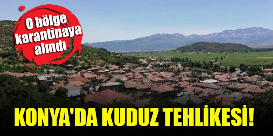 Konya'da kuduz tehlikesi! O bölge karantinaya alındı