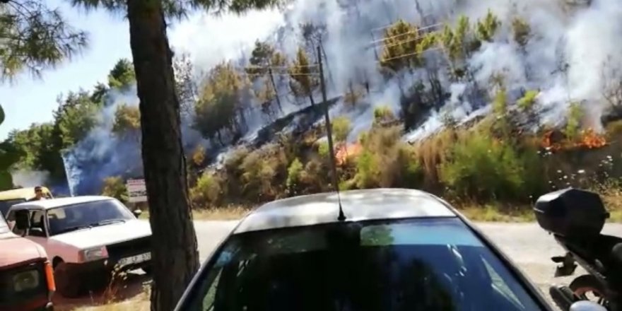 Antalya’daki orman yangını kontrol altına alındı