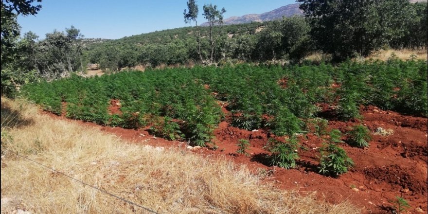 Diyarbakır’da terörün finans kaynağına büyük darbe