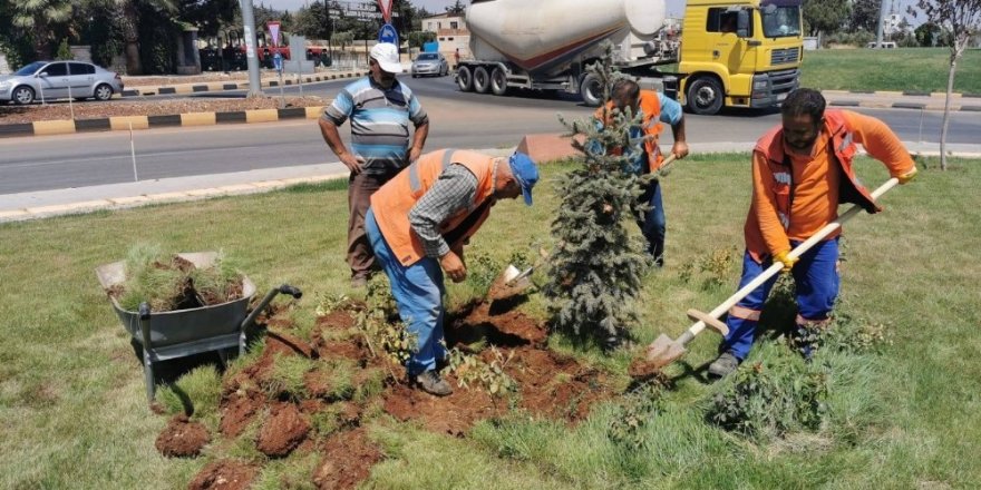Kilis’te yeşillendirme çalışmaları
