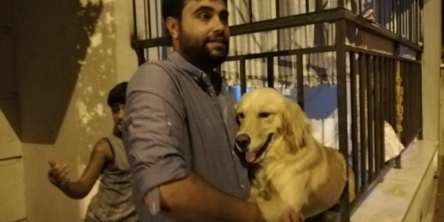 Demir parmaklıklara sıkışan köpek kurtarıldı