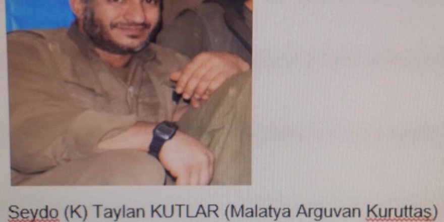 Tunceli’deki terör operasyonu