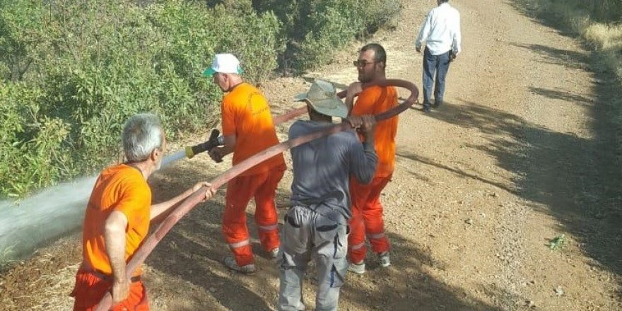 Yangın ormanlık alana sıçramadan söndürüldü