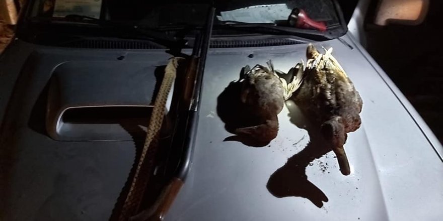 Afyonkarahisar’da kaçak avcılara cezai işlem uygulandı