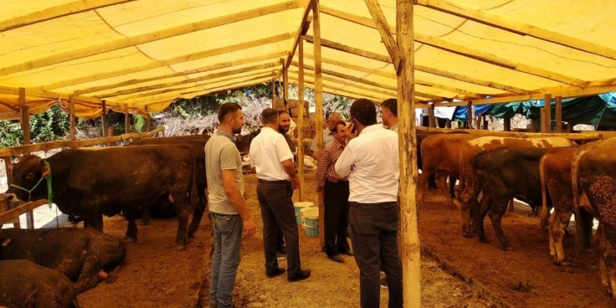 Kurban Bayramı için hayvan pazarında gerekli tedbirler alındı