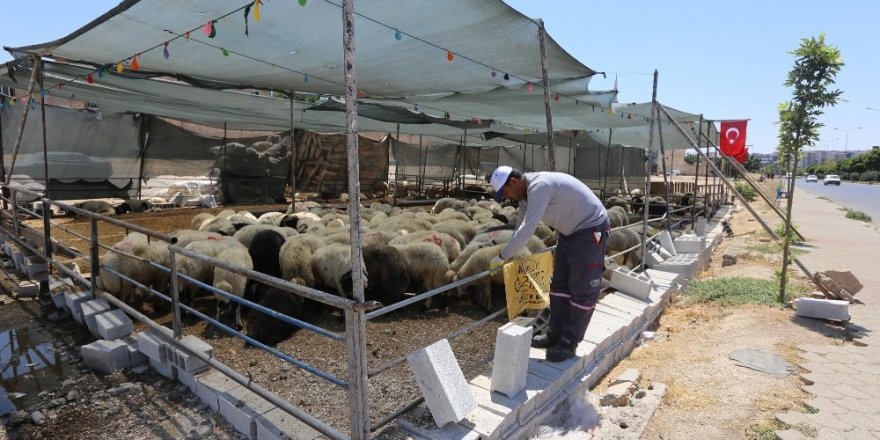 Kurban kesim ve satış yerlerinde karasinek mücadelesi