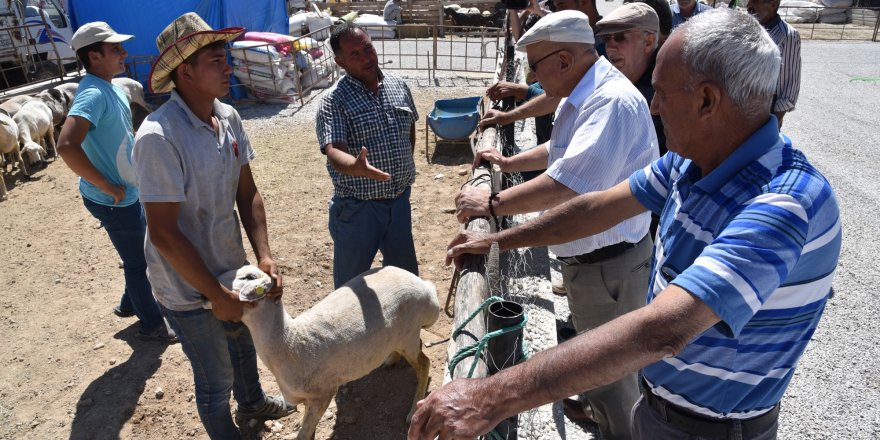 Selçuklu'da kurban satışı başladı