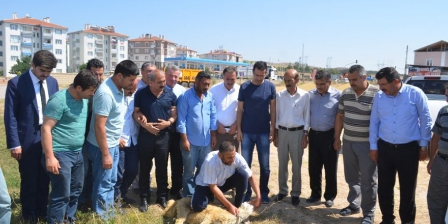 Bünyan’da Kurban Kesim Kursu Açıldı
