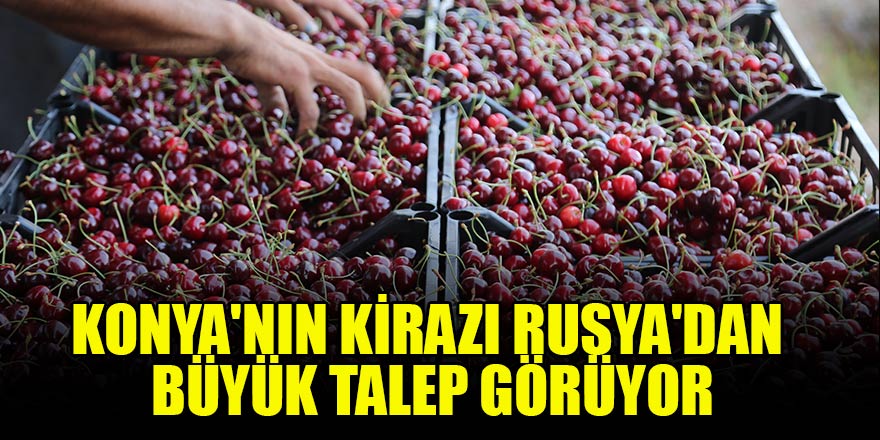 Konya'nın kirazı Rusya'dan büyük talep görüyor