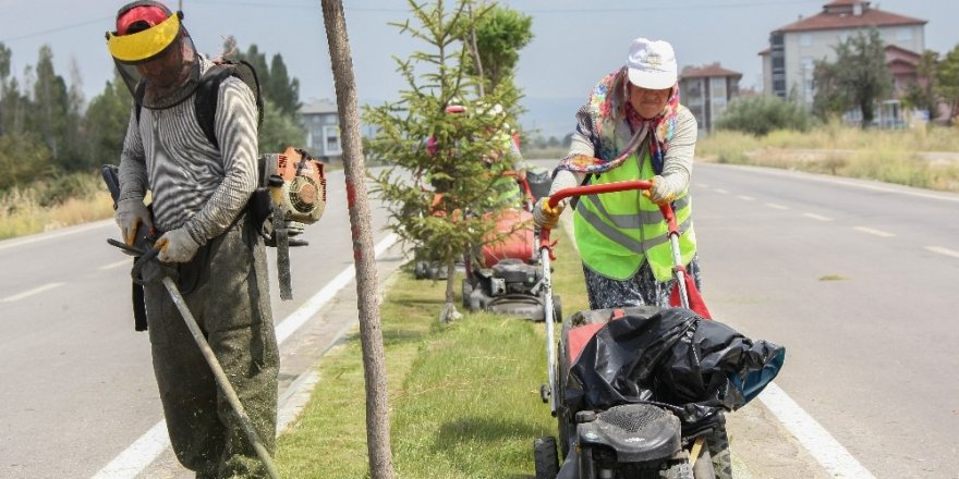 Kütahya’da yabani ot temizliği ve çim biçme çalışmaları