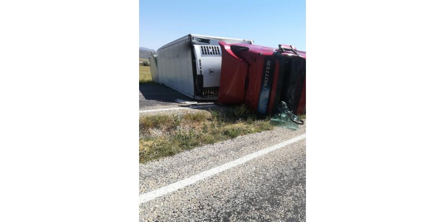 Kayısı yüklü tır devrildi: 1 yaralı