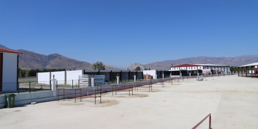 Canlı Hayvan Pazarı bayrama hazır