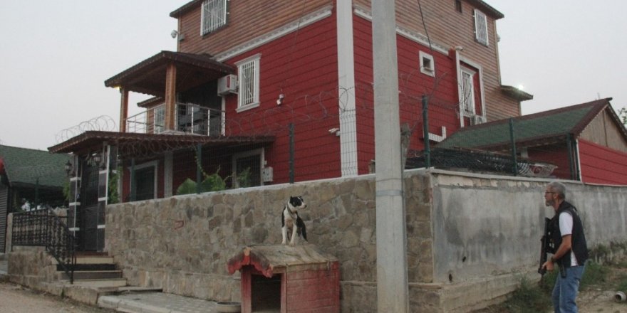 Adana’da pitbullarla korunan şatoya veterinerli polis baskını