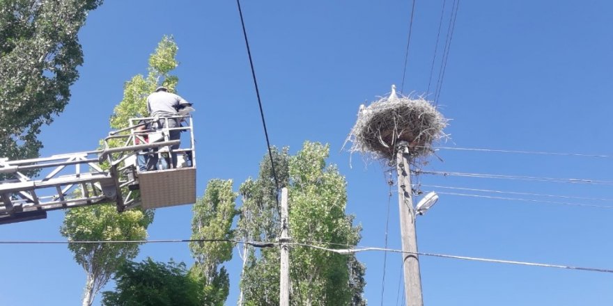 İtfaiye ekipleri, yuvadan düşen leylek için seferber oldu