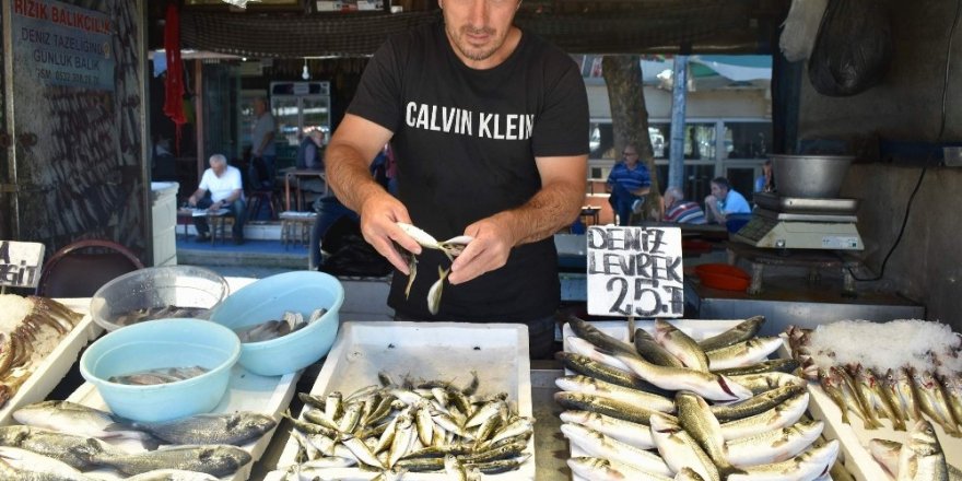 Balıkçıların yeni sezonda umudu palamut