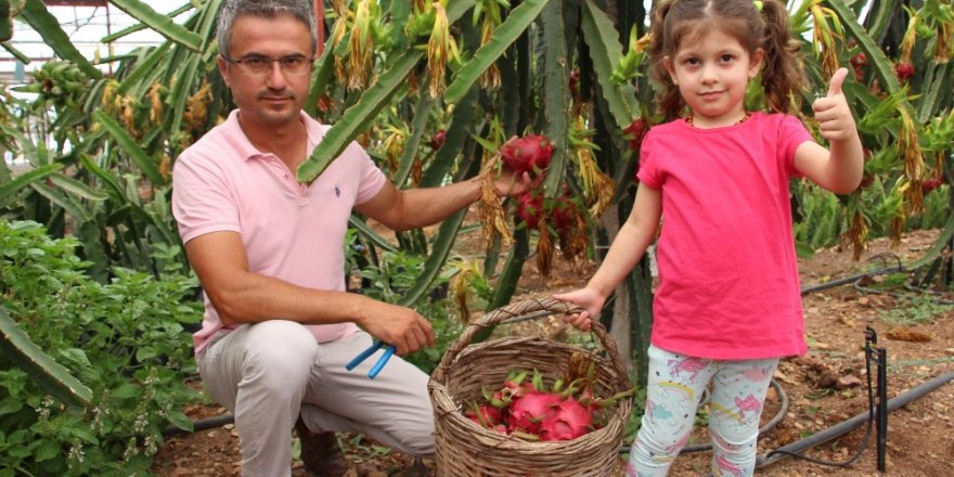 Denemek için ekti vazgeçemiyor