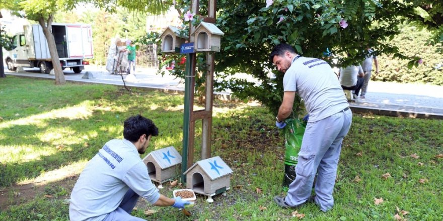 Küçükçekmece’de sokak hayvanları unutulmuyor