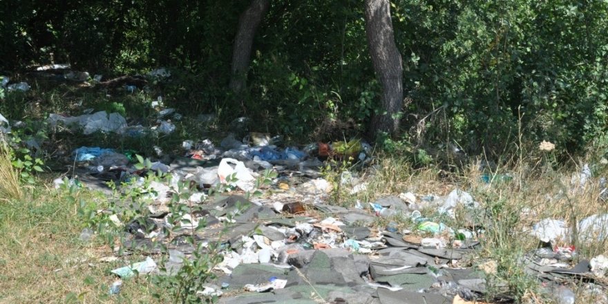 Kars Kent Ormanı kaderine terk edildi