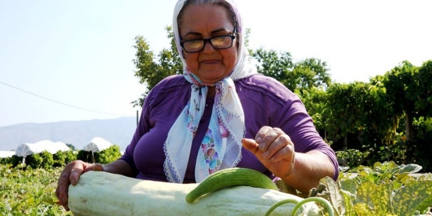 Küçücük bir delikten devasa acur yetiştirdi