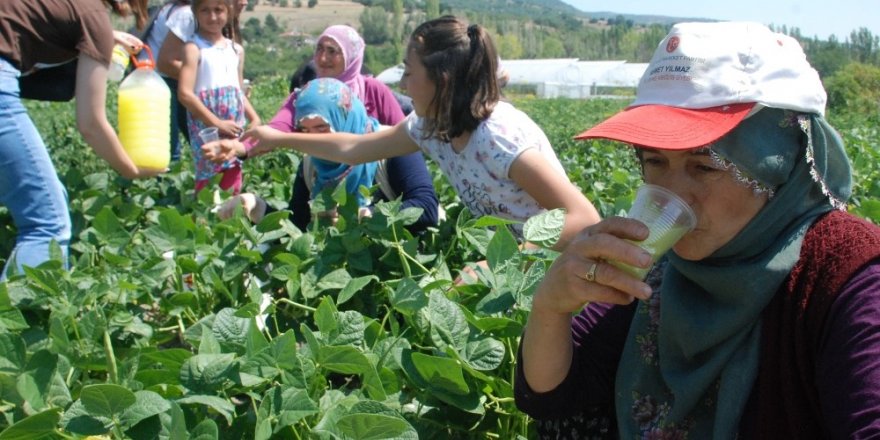 Tarlada sıcak havada çalışanlara limonata ikramı