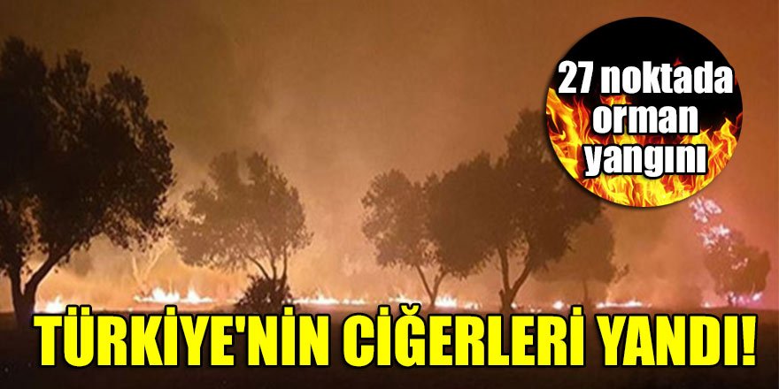 Türkiye'nin ciğerleri yandı! 27 noktada orman yangını