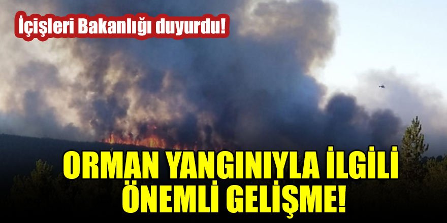 İçişleri Bakanlığı duyurdu! Orman yangınıyla ilgili önemli gelişme