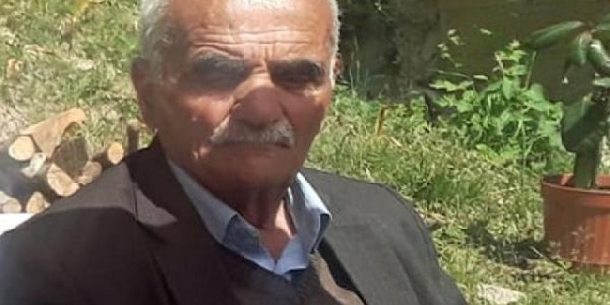 Yaylada başına yorgun mermi isabet etti