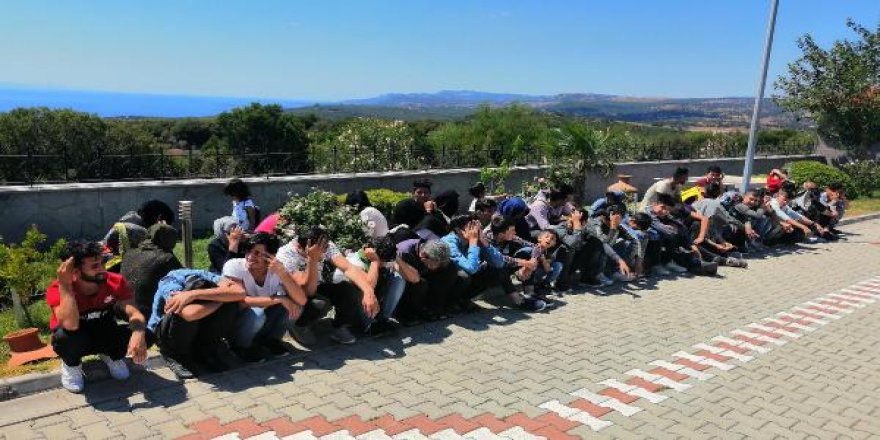 Çanakkale'de 80 kaçak göçmen yakalandı