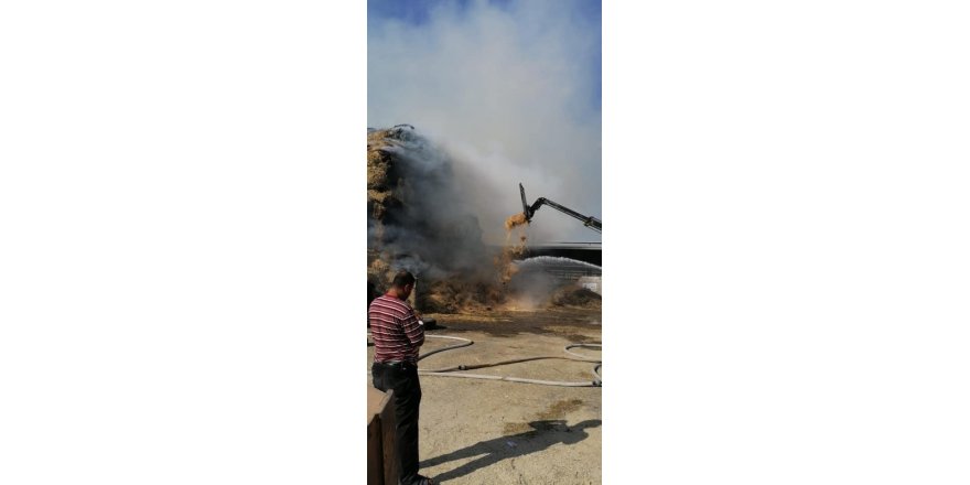 100 bin hayvanın bulunduğu çiftlikte yangın