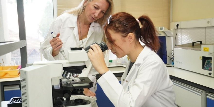 Bu çalışma "dünyada ilk" olacak