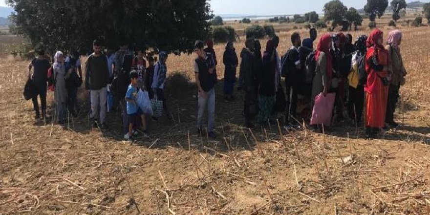 Çanakkale’de 353 kaçak göçmen ve 8 organizatör yakalandı