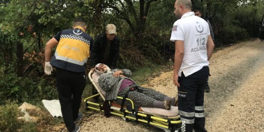 Kamyonet ile hafif ticari araç çarpıştı: 2'si çocuk 6 yaralı