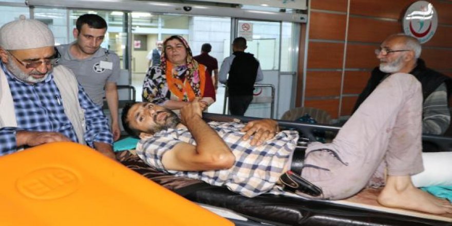Erzurum'da ayı saldırısı: 1 ölü, 2 yaralı